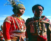 camsur_native.jpg