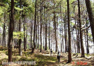baguiotrail.jpg