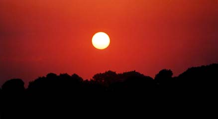 sunseta1.jpg